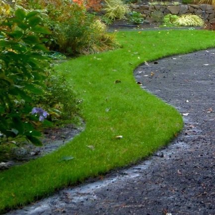 Curved lawn edge with dark mulch