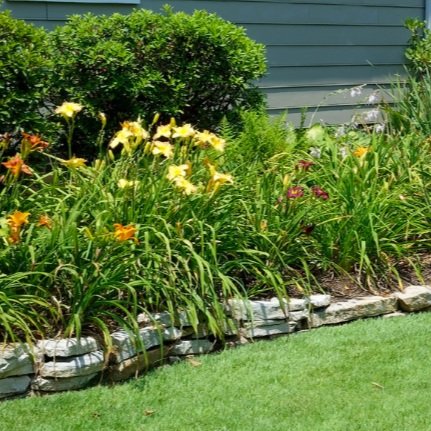 Flower bed with yellow and orange daylilies and stone border